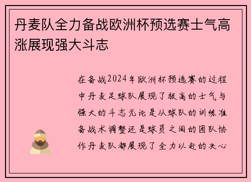 丹麦队全力备战欧洲杯预选赛士气高涨展现强大斗志