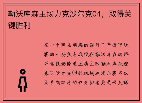 勒沃库森主场力克沙尔克04，取得关键胜利