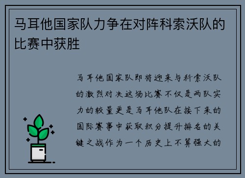 马耳他国家队力争在对阵科索沃队的比赛中获胜