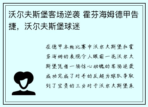 沃尔夫斯堡客场逆袭 霍芬海姆德甲告捷，沃尔夫斯堡球迷