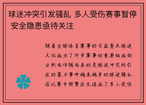 球迷冲突引发骚乱 多人受伤赛事暂停 安全隐患亟待关注