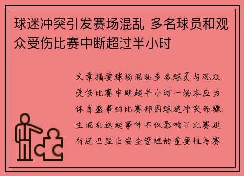 球迷冲突引发赛场混乱 多名球员和观众受伤比赛中断超过半小时
